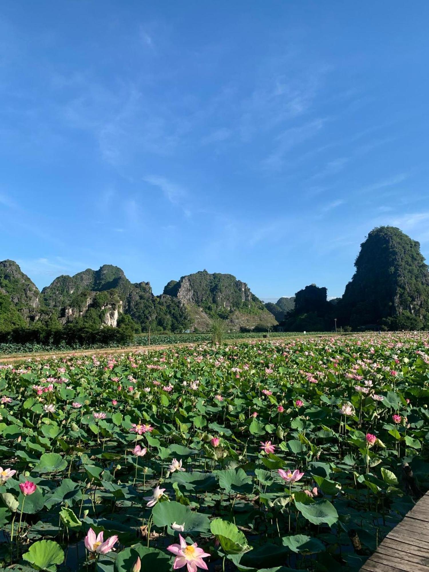 Hang Lan Bungalow Ninh Binh Esterno foto